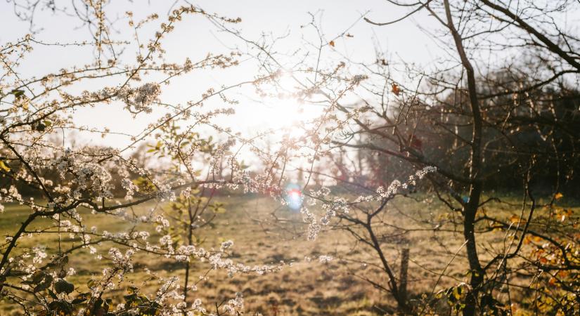 Napi üzenet szerda – 2026. 03. 25.