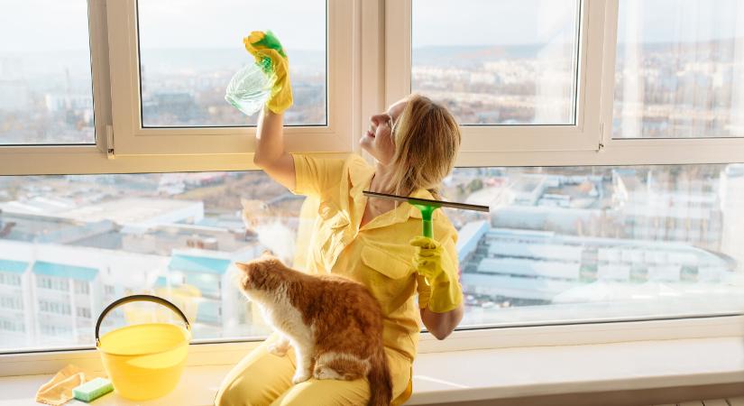 Vigyázz, ezek a tisztítószerek veszélyesek – Így óvd meg kedvenced a tavaszi nagytakarítás idején
