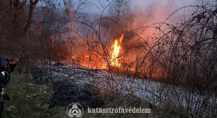 Hegyi hajlékok voltak veszélyben! Felcsaptak a lángok egy zalai település közelében (helyszíni fotók)
