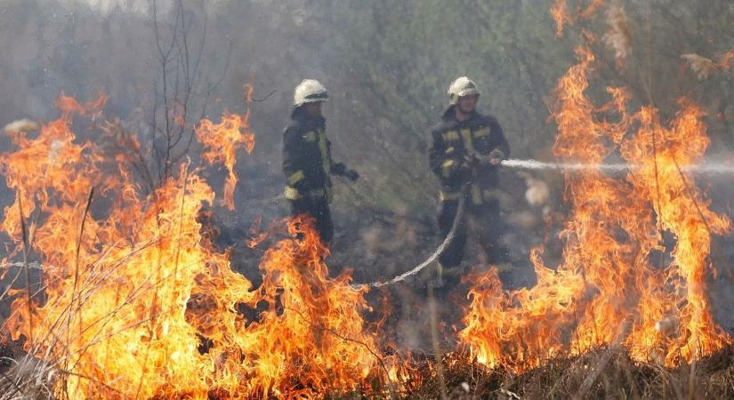 Kilométeres füstfelhővel tomboltak a lángok Hajdúszováton! - fotókon, videón a keddi tűzvész pusztítása!