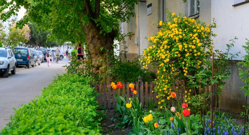 Zöldövezetek szépítésre kaphatnak pénzt a sepsiszentgyörgyiek