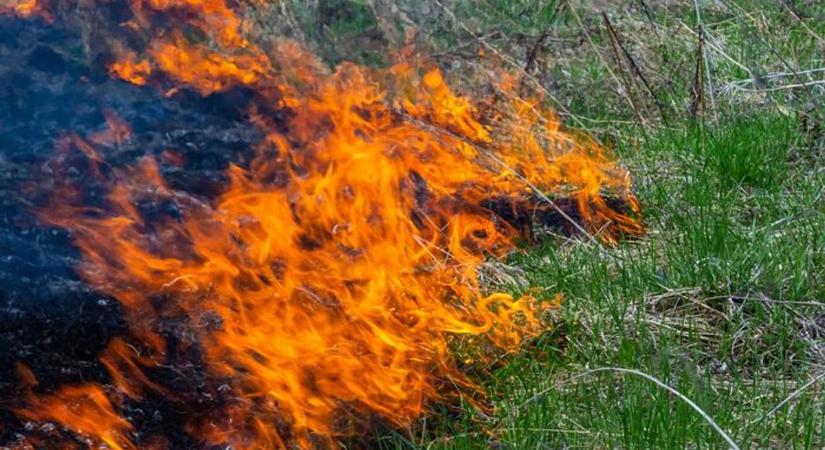 Pokoli kedd Szabolcsban: több hektáron tombolt a tűz, folyamatosan vonultak a tűzoltók