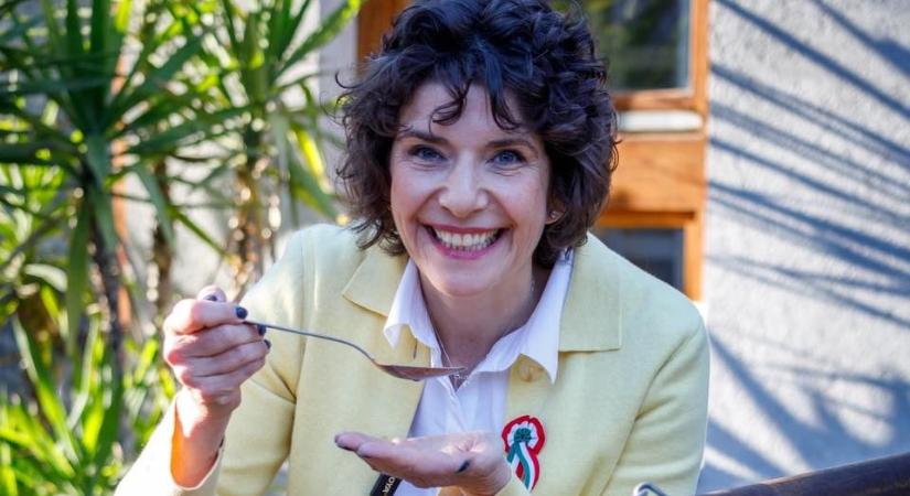 Három jelöltet léptet vissza a DK, Dobrev a Tiszára vár