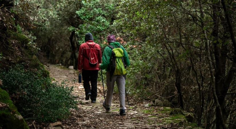 A túrázás egyben orvosi vizsgálat is lehet? A Bakonyban ezt tervezik