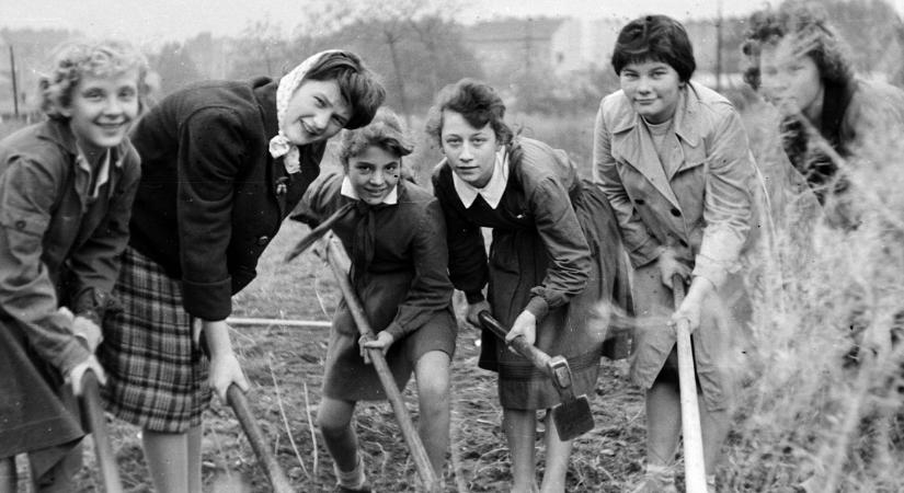Népi jóslat: Most dől el, milyen idő lesz tavasszal, és milyen termés várható