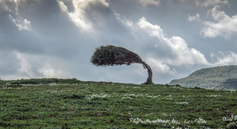 Veszélyes fordulat az időjárásban: hatalmas erejű orkán érkezik, életbe lépett a riasztás a hétvégére