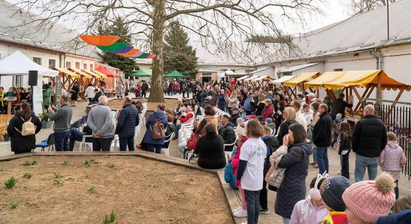 Hihetetlen! Két Guinness-rekord is született egyetlen nap alatt a nyíregyházi iskolában (videóval)