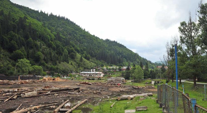 Országos razzia a fakitermelőknél – Hargita megyében is tartanak házkutatásokat