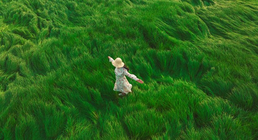 Grace Trail: sétáld ki magadból a viharaidat