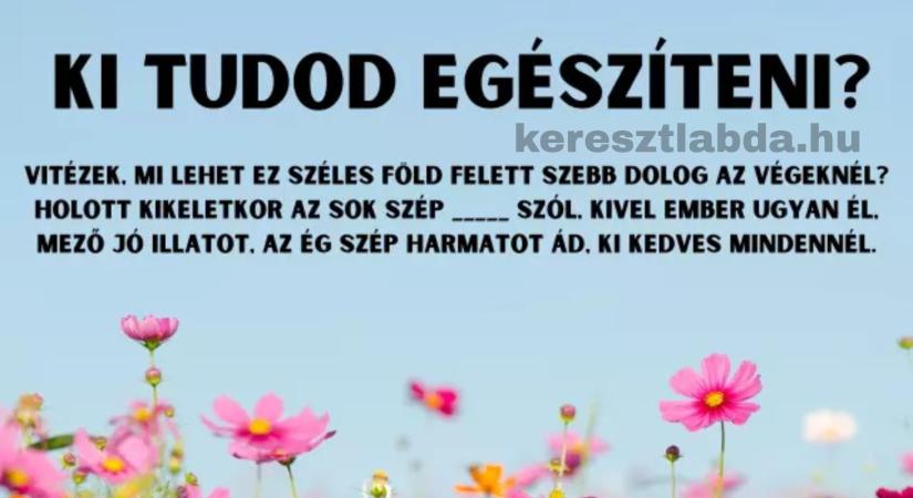 Napi irodalom feladat: Be tudod fejezni ezt a klasszikus idézetet?
