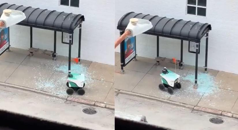 Szépen kikerülte a robot a buszmegállót, aztán jött az üvegfal – videó
