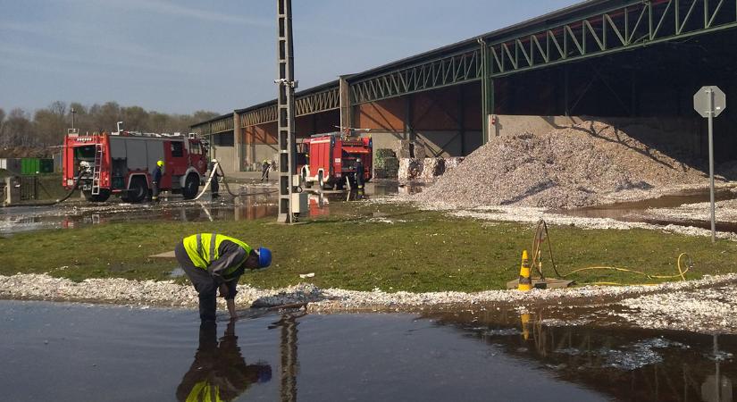 Lángok csaptak fel egy békéscsabai üzemben