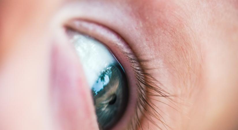 Lesitóth Csaba verse