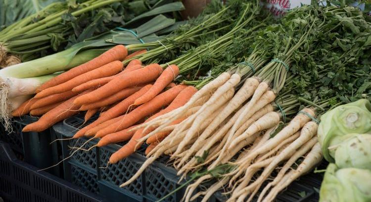 Répa kontra gyökérpetrezselyem: eltérő piaci pályák