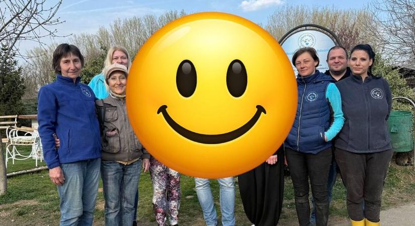 Nem fogod elhinni, ki bukkant fel Nyíregyházán – és azt sem, hogy hol! Erre senki sem számított