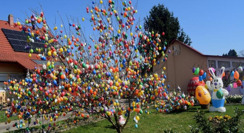 Roskadozik a csodafa ezen a somogyi településen, vajon hány dísz fér egy tojásfára?
