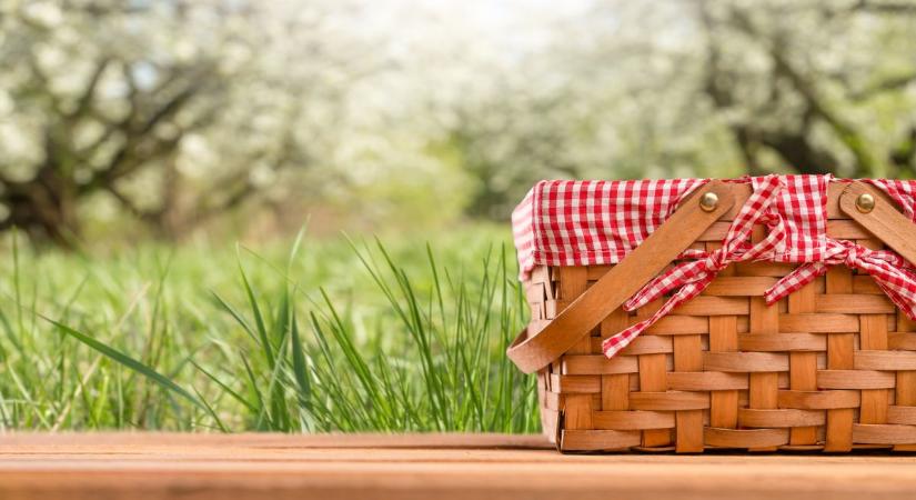 Elárulták a szegediek: itt érdemes piknikezni tavasszal