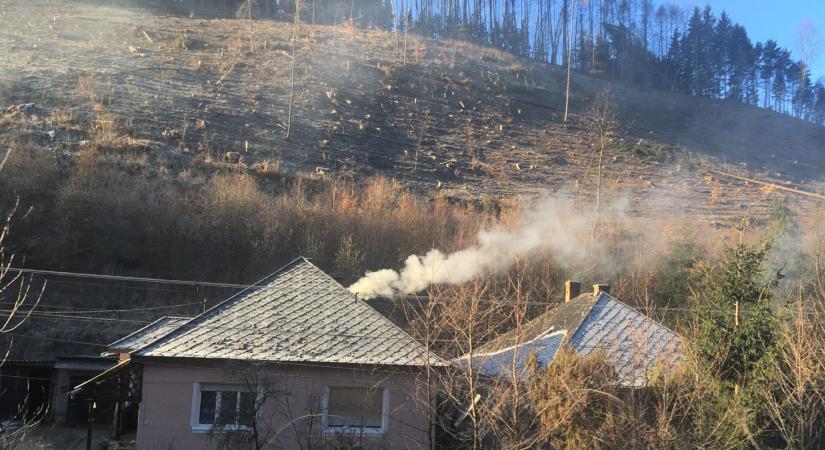 A TILIA nyerte el Az Év Irodaháza címet