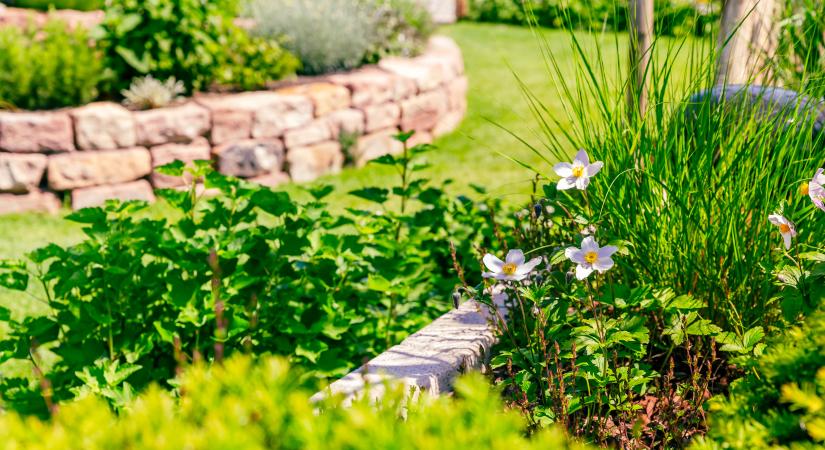 Mostantól így olvasd le a vízórádat minden hónapban – fontos teendőjük van a háztulajdonosoknak