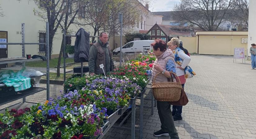 Sonka, barka, eper – mutatjuk, mennyibe kerül a húsvéti bevásárlás Szekszárdon (fotókkal)