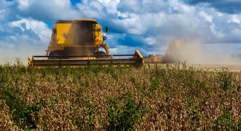 Nincs fék a brazil szójatermelésben? Meddig nőhet az export?