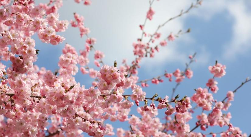 Milyen lesz a következő hetek időjárása? Ez a szerda sok mindent elárul