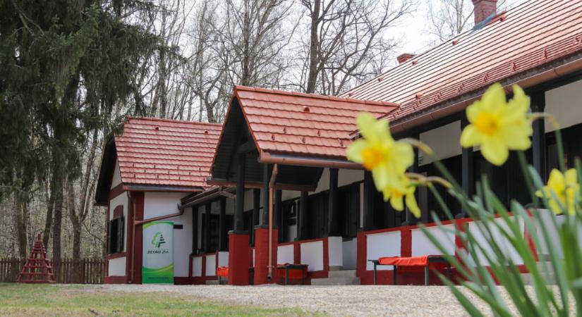 Megújult környezetben várja a természetbarátokat a Sziágyi Erdészeti Erdei Iskola