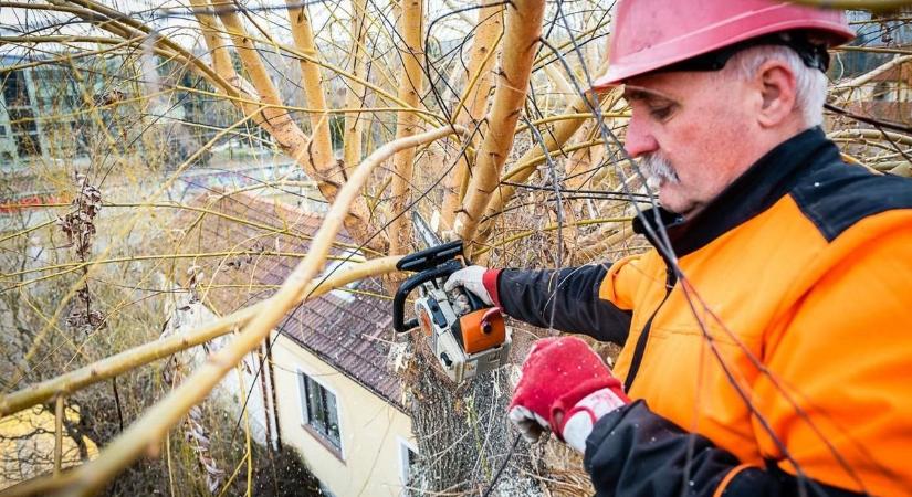 Fontos figyelmeztetés jött az MVM-től: ennyi távolságot kell tartani a vezetékektől!