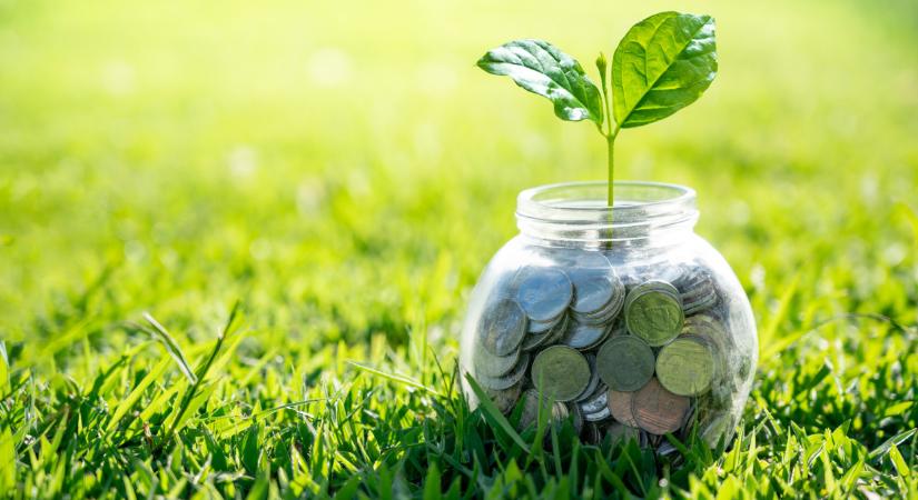 Milliárdos beruházás indul Magyarországon: erre költik el a pénzt