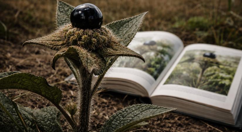 Nagy Sándor gyilkosa a magyar legelőkön is ott lapul?