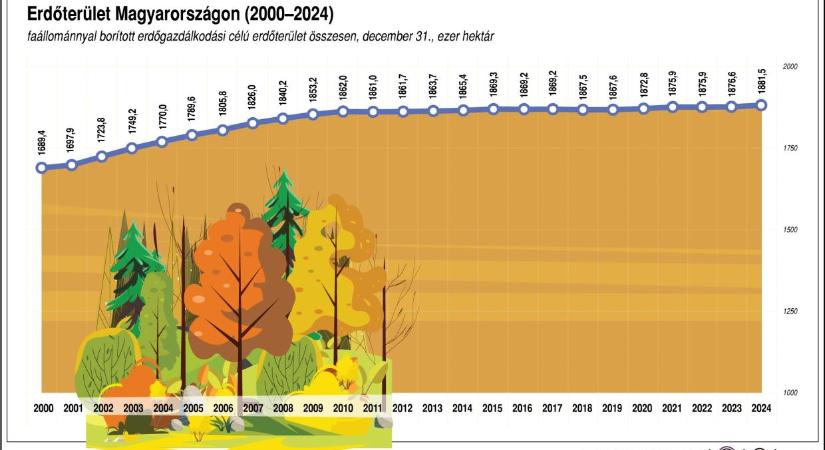 Az erdő a legfontosabb eszköz a klímaváltozással szemben