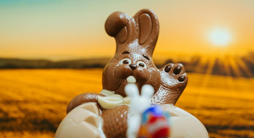 Kakaóár-sokk: a hektikus világpiac átírja az édességgyártók tervezését