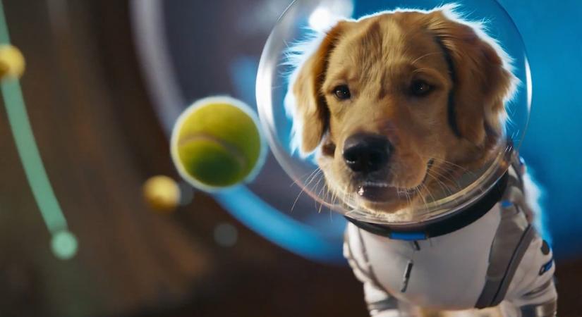 Halott a Sora, 15 hónapot élt az OpenAI filmipart kihívó AI alkalmazása