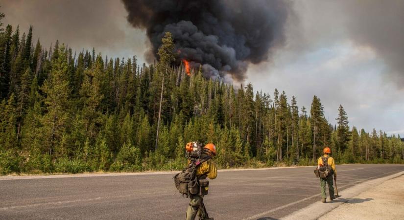 Bizonytalan szabályozás miatt 20%-ot esett a Circle részvénye, a versenytársak még reménykednek
