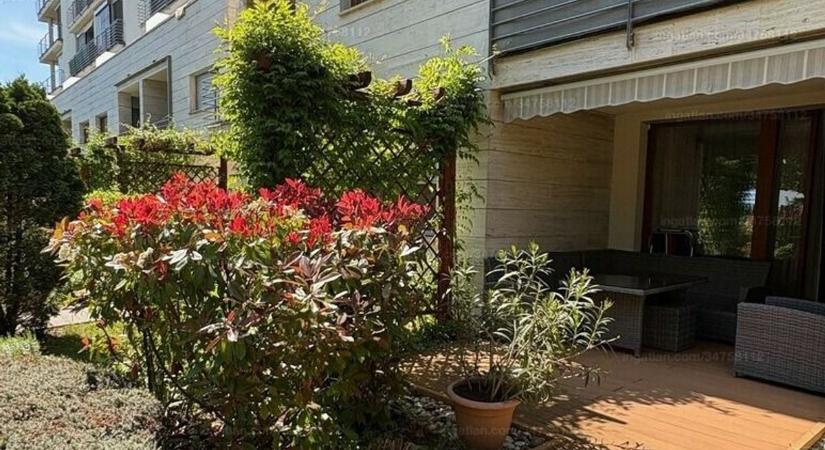 Virágos Balatonfüredért: indul a program, így lehet támogatást igényelni