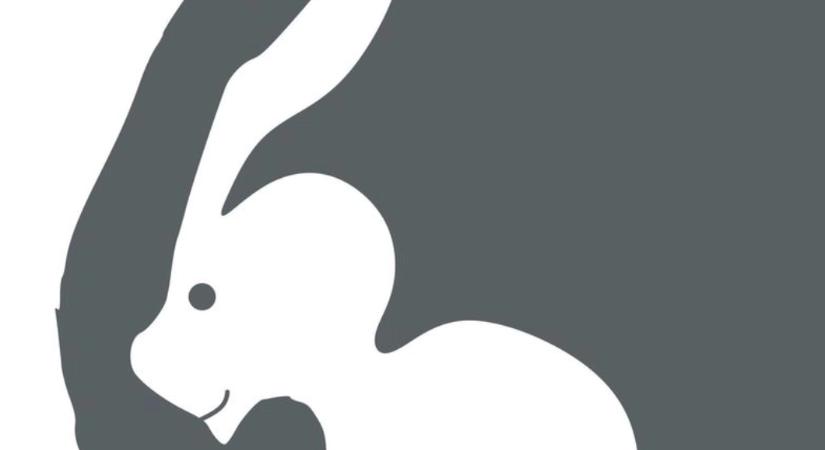 Amit elsőre látsz, nem véletlen: kiderül, miért különleges a személyiséged