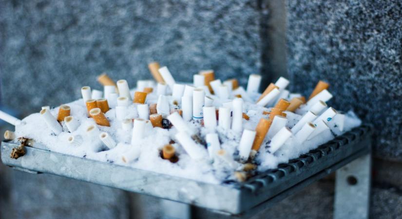 Már a cinkék is gyűjtik a csikkeket – erre jó nekik