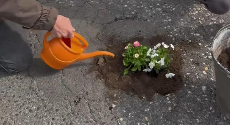 „Virágozzék a haza” – a kutyapártos Sándor Balázs földet lopott Hatvanpusztáról, hogy virágot ültessen a kátyúkba