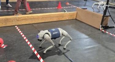 Közép-Európa-szerte nem volt még ilyen kutyaverseny