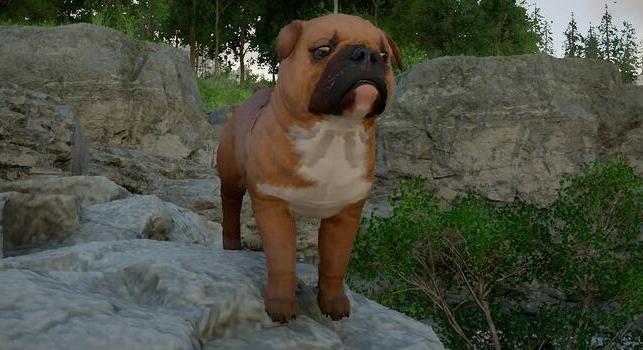 Csak a PETA meg ne lássa, hogy mit művelnek az állatokkal a Crimson Desert játékosai!