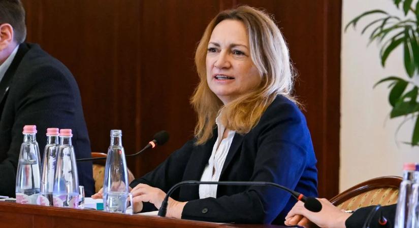 Menczer Tamás szerint a tiszás Bujdosó Andrea anyagilag érdekelt a rezsicsökkentés eltörlésében