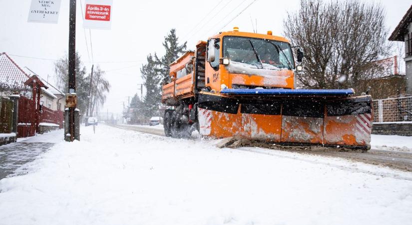 Tél a tavaszban – Rosszabbra készülhetünk, mint ami négy éve történt a Bakonyban