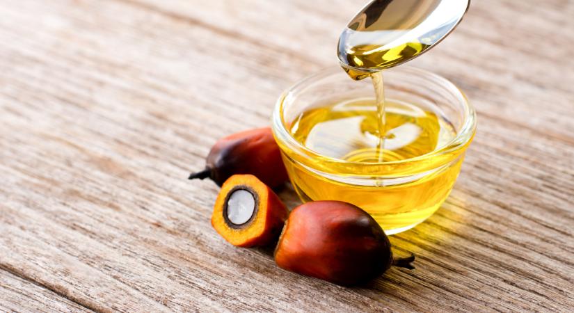 Lehullt a lepel a mindennap fogyasztott élelmiszereinkről: ez kemény