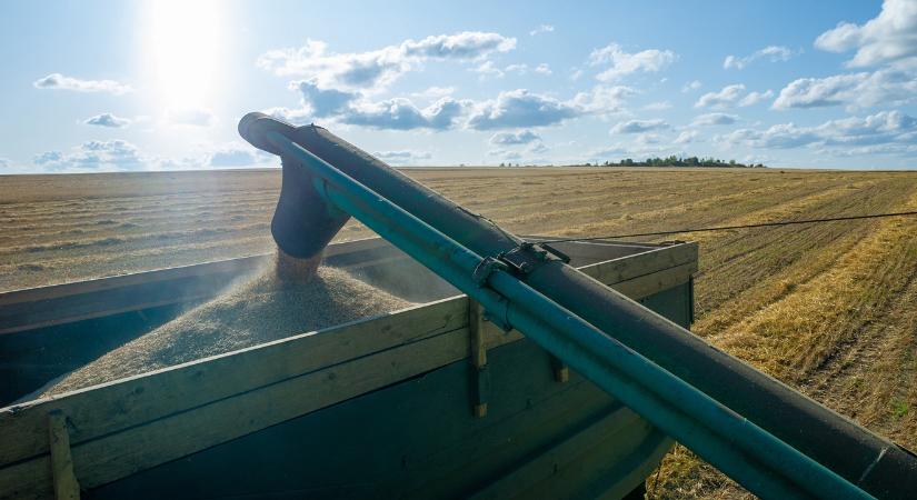 Készül az újabb gabonapiaci feketeleves