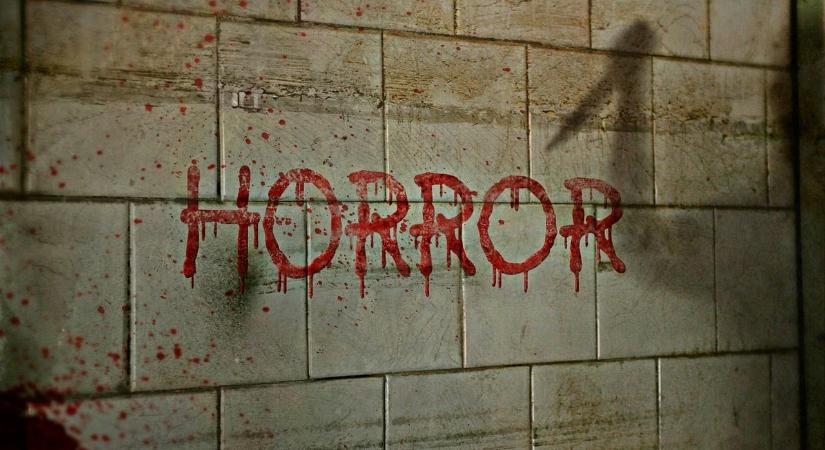 Horror: hónapokig kínozta a házvezetőnőt a család