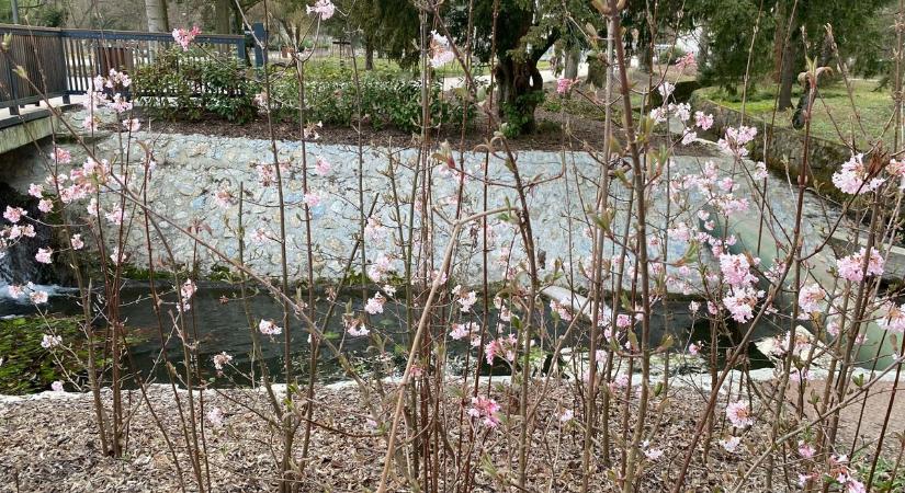 Borongós fordulatokkal indulhat a nap – ilyen idő vár ránk holnap Borsodban