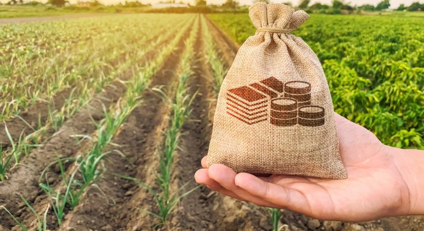 Tízmilliárdokat osztanak szét itthon: hatalmas roham indult a pénzért