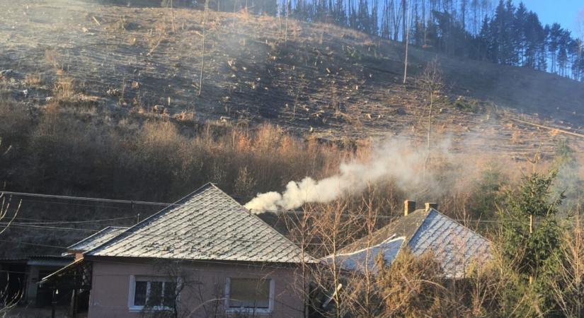 A fával fűtő magyarok is védeni akarják a természetet, de lehet, hogy védett erdőkből való fát égetnek