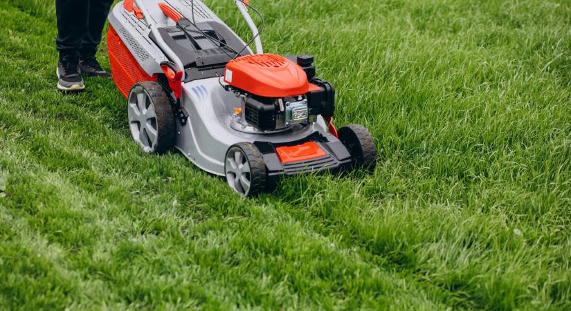 Kert: az első fűnyírásnál ezt a hibát követik el a legtöbben, ami akár a fű pusztulásához is vezethet
