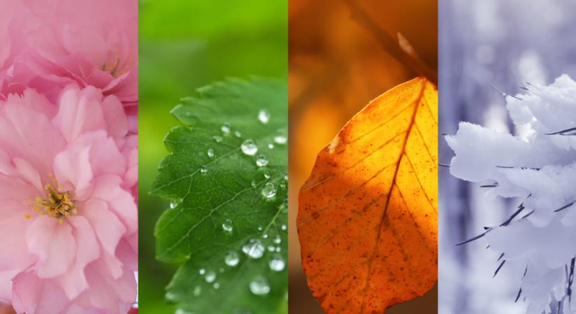 Tudósok eredménye: jóval tovább élhetsz, ha ebben az évszakban születtél